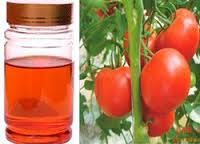 Tomato seed oil